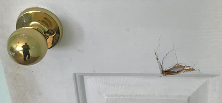 interior door hole repair West Rancho Dominguez